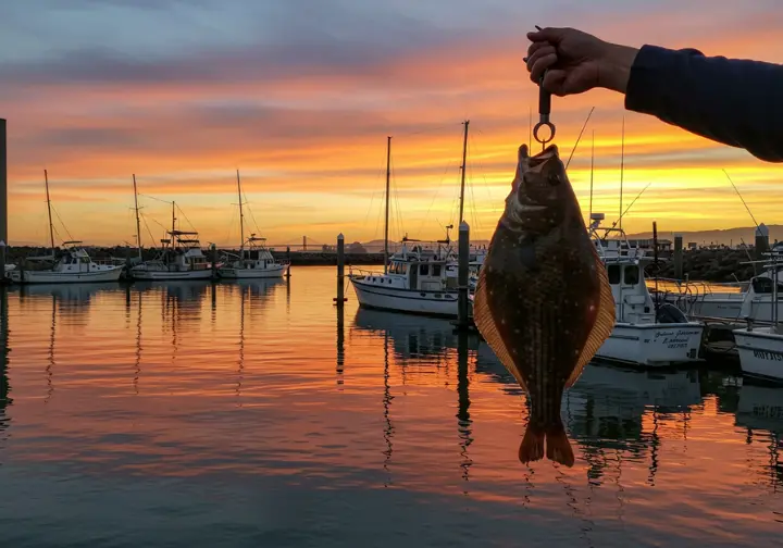 Emeryville fishing guide with marina and San Francisco skyline