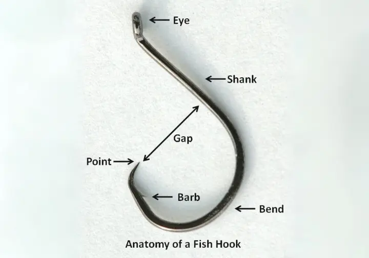 Diagram of a fishing hook with labels for the eye, shank, bend, point, and barb.  