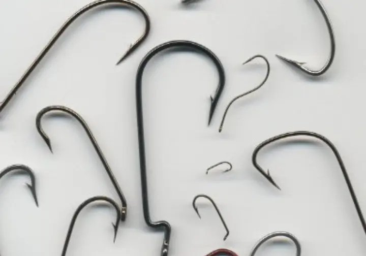 Display of different fishing hook types, including circle hooks, treble hooks, and J-hooks, with labels for their uses. 