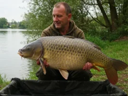 A large carp caught by an angler, highlighting the essential facts about carp fishing.