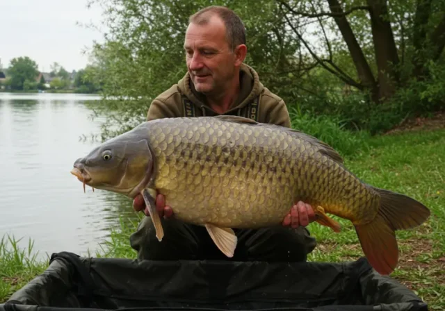 A large carp caught by an angler, highlighting the essential facts about carp fishing.