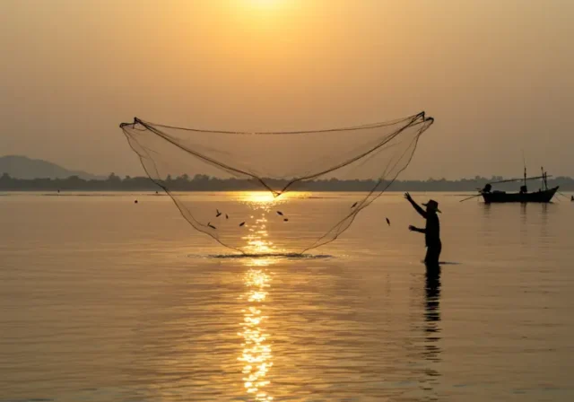 Fisherman casting a net into the water at sunrise, showcasing traditional net fishing techniques.