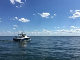 Trolling in fishing, highlighting the action of dragging lures behind a moving boat.