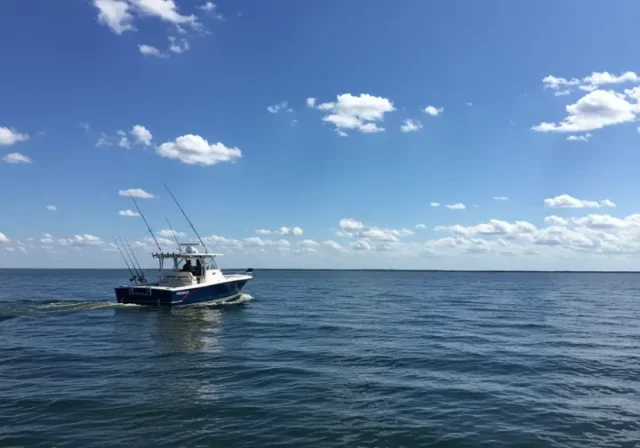 Trolling in fishing, highlighting the action of dragging lures behind a moving boat.