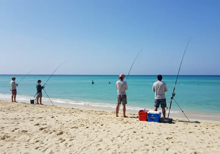 Anglers surf fishing on a sunny beach in the Outer Banks with long rods and tackle boxes.