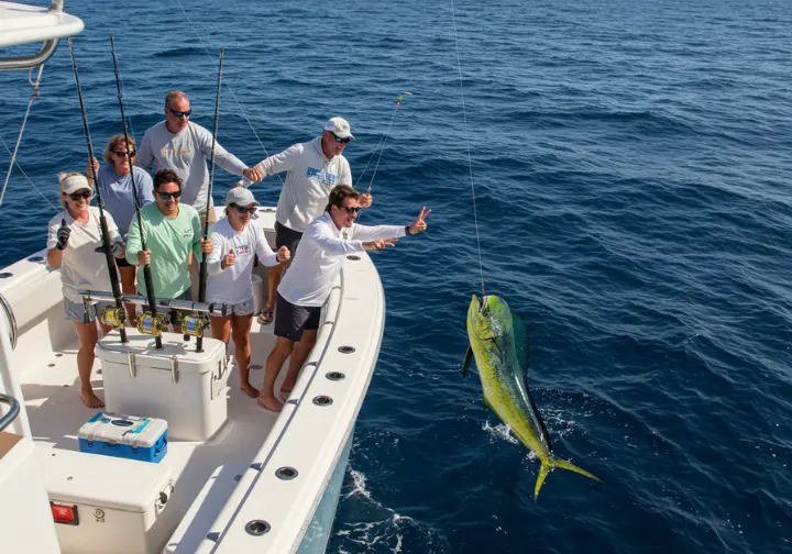 Anglers on a charter boat reeling in a mahi-mahi in the Gulf Stream near the Outer Banks.