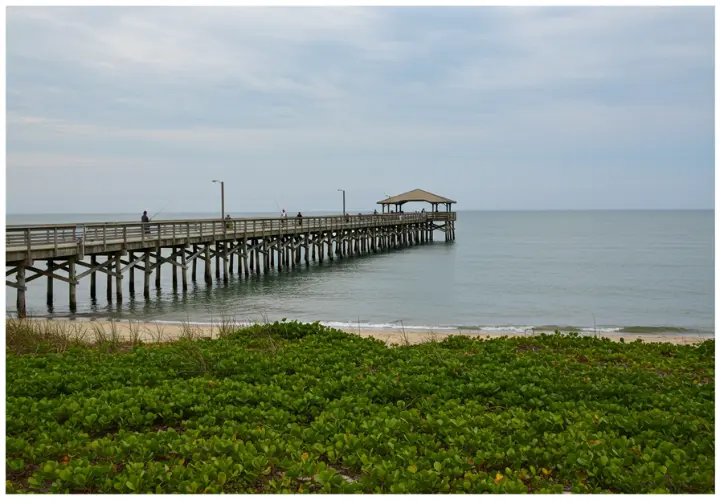 Angler fishing at Myrtle Beach State Park Pier, surrounded by lush greenery and calm ocean waters.