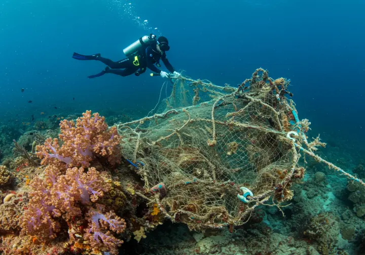 Discarded fishing net entangled with coral and marine life, illustrating the problem of ghost fishing.