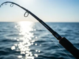 Best saltwater fishing rod, showcasing robust construction and power for reeling in large fish.