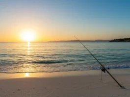 Panoramic view of a beach at sunrise with a fishing rod, representing inshore fishing hotspots in Cabo San Lucas.