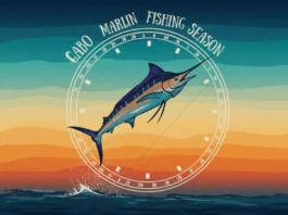 Ultimate guide to Cabo Marlin fishing season & peak times: artistic graphic representing the best time to plan your Cabo marlin fishing trip.