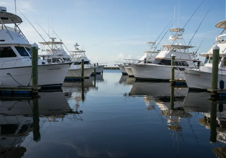 A selection of fishing charter boats moored at a dock, showcasing different options for a fishing trip.