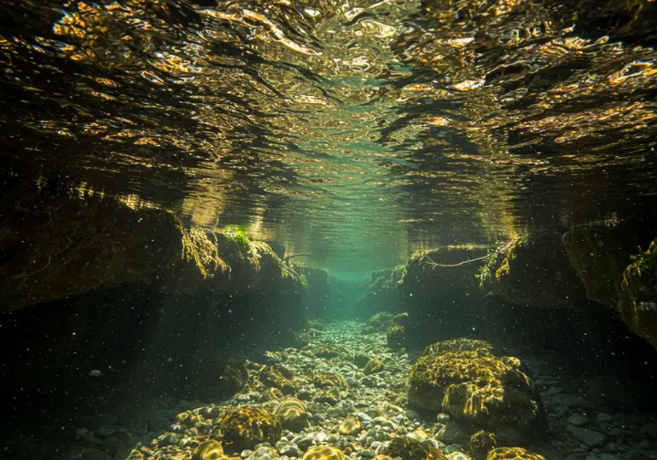 Challenging stream conditions for trout fishing.