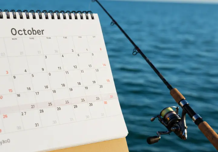 A calendar showing the optimal fishing season in La Paz, emphasizing the importance of timing for a successful trip.