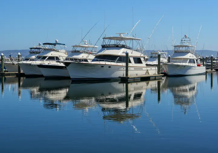 A selection of charter fishing boats docked at a Southern California marina.