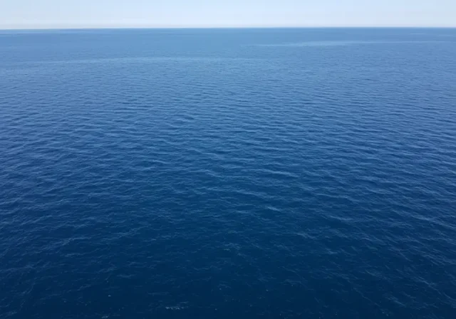 Overview of the vast Atlantic Ocean, representing a guide to its diverse fish species.