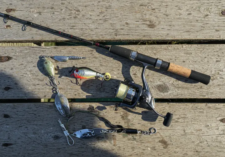 Essential roosterfish fishing gear including a surfcasting rod, reel, popper lure, jig, and circle hook neatly arranged under natural daylight.