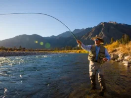 Fly angler casting in a scenic California river during golden hour, representing top fly fishing trips in the state.