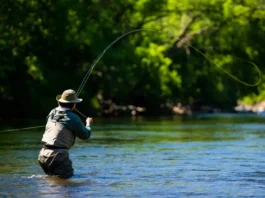 Angler expertly casting one of the best rated fly rods of 2025 on a sunny river.