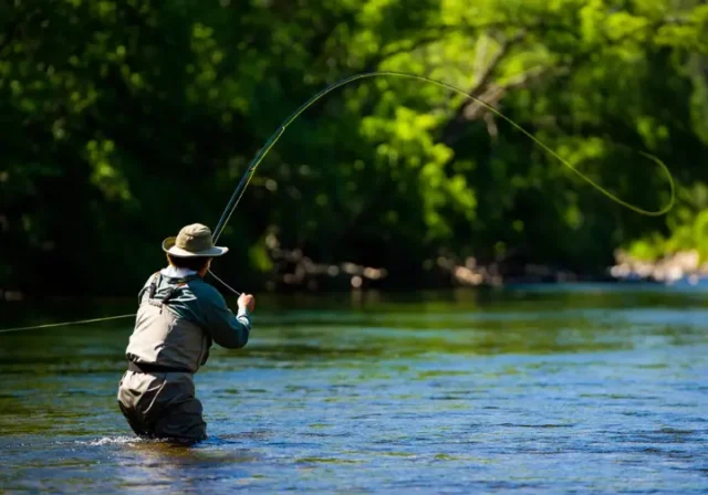 Angler expertly casting one of the best rated fly rods of 2025 on a sunny river.