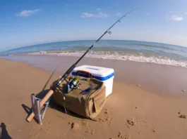 Essential must-have surf fishing gear including rod, reel, tackle bag, and cooler arranged on a beach.