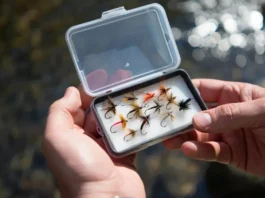 Fly box filled with proven, top-winning spring trout flies held open near a sunlit stream.
