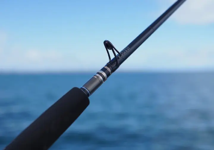 Close-up showing essential components of a surf fishing rod like guides, blank material, and ferrules.