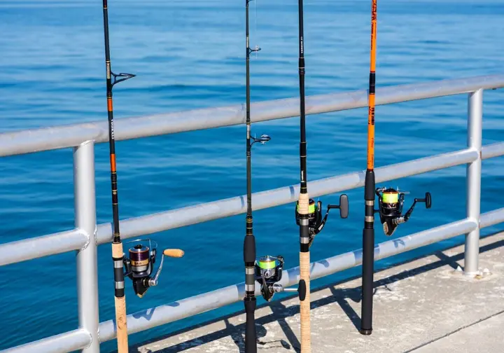 Three different saltwater fishing setups (inshore, surf, offshore) illustrating matching gear to the mission.
