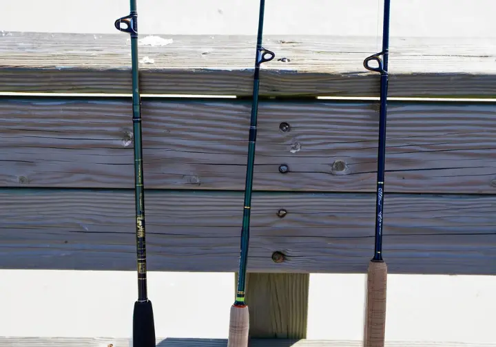 Three different saltwater rods (surf, boat, inshore) displayed, illustrating matching rods to fishing arenas.