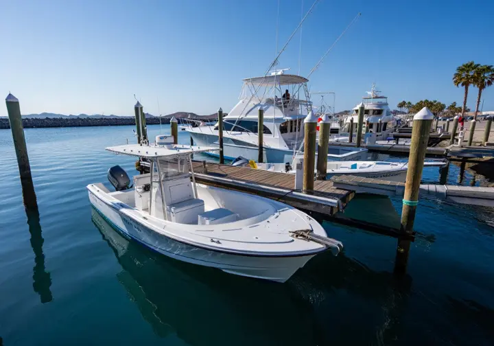 Different types of fishing charter boats (panga, sportfisher, yacht) docked at the Cabo San Lucas marina.