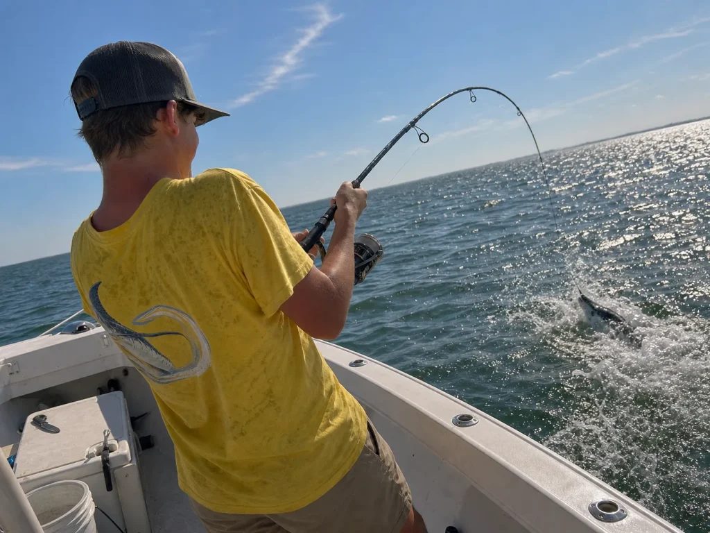 Angler setting the hook with a spinning rod loaded under a fish, hookset timing and rod action