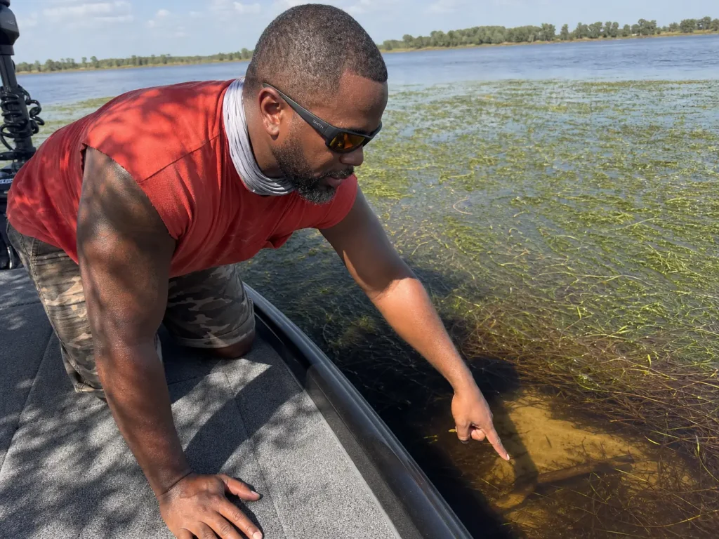 Amber tint polarized fishing sunglasses used to read a hydrilla edge on a stained Florida lake