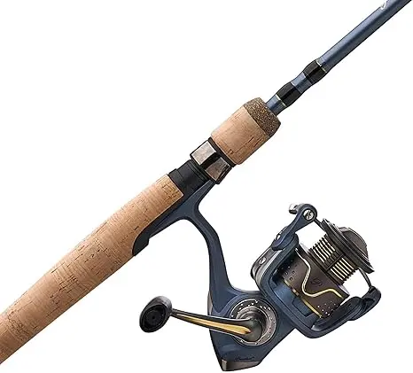 Pflueger President Spinning Combo