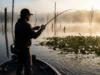 Best Lures for Largemouth Bass by Season & Cover Angler casting a fishing rod towards heavy timber cover during a foggy sunrise on a bass lake.