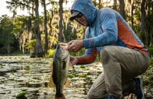 Largemouth Bass Facts: A Tactical Biology Guide Angler kneeling in water holding a large bass, examining its anatomy before releasing it into a lake with lily pads.