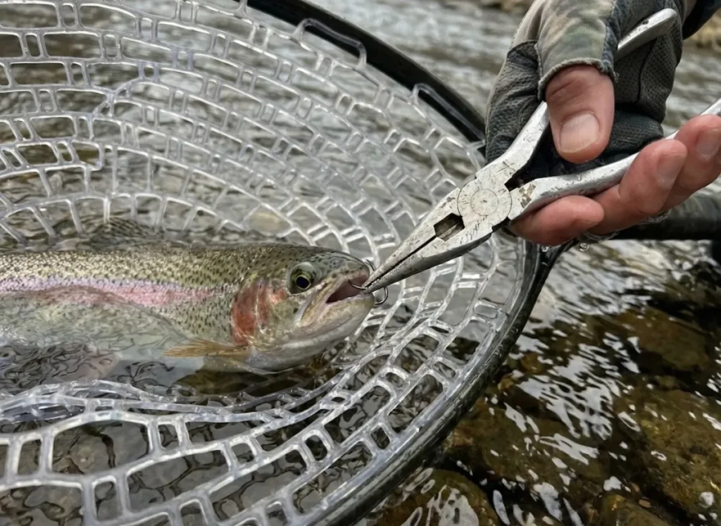 A trout resting in a rubber mesh landing net while an angler uses pliers to remove a barbless hook.
