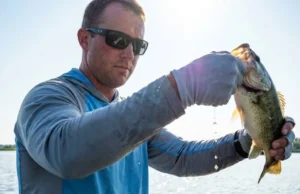 Summer Fishing Tips: 9 Science-Backed Strategies Angler lifting a largemouth bass out of the water under intense summer sunlight.