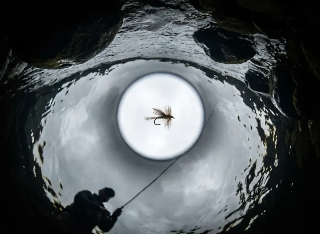 Underwater view looking up at a fishing fly floating on the surface through Snell's window.