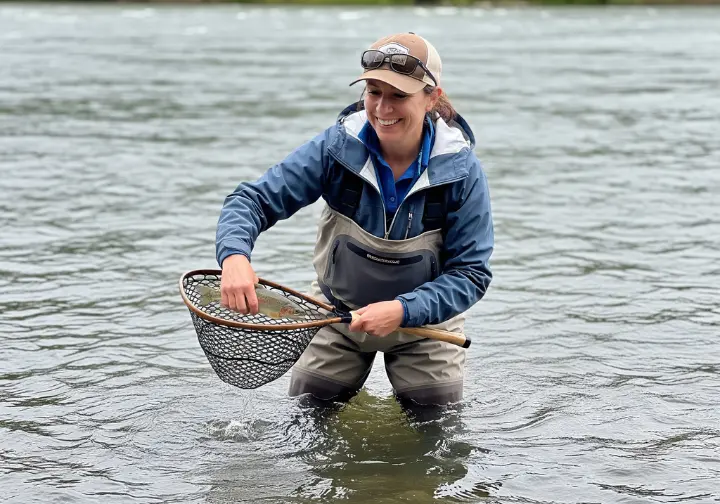 A woman in full fly fishing waders smiles as she nets a trout while standing in a river.