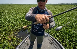 Mastering Heavy Cover Fishing: Gear & Tactics An angler standing on a boat in thick vegetation pitching a heavy punch rig into the mat.