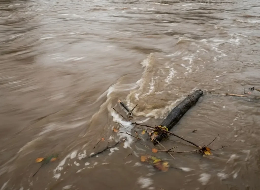 Close-up view of turbulent, muddy river water swirling around a snag with foam lines indicating current speed.