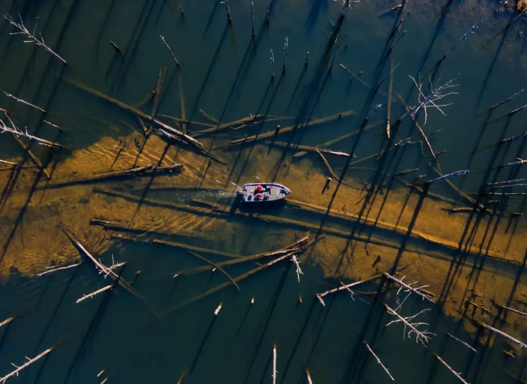 Aerial view of a fishing boat navigating through standing timber and submerged trees, illustrating the need for side imaging sonar.