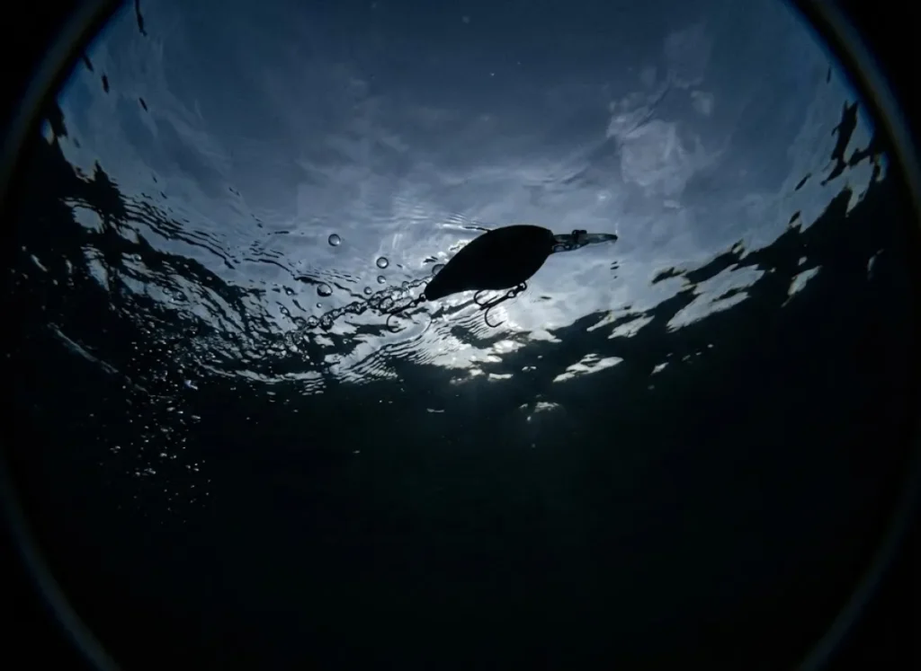Underwater view looking up at the surface at night, showing the black silhouette of a fishing lure against the moonlight.