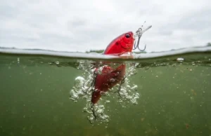 How Do Fish See Underwater: The Lure Color Guide A split-level view of a red fishing lure splashing into green lake water, showing bubbles and the shift in light visibility underwater.