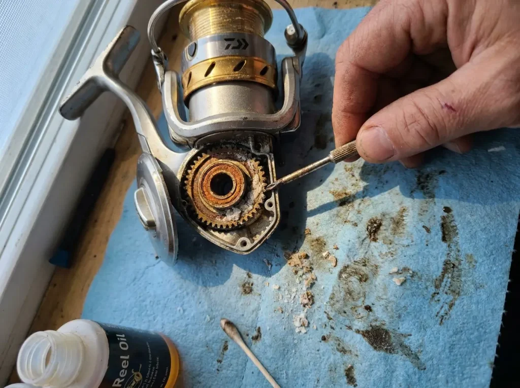 Close-up of a corroded spinning reel interior showing why saltwater gear fails at the reel first
