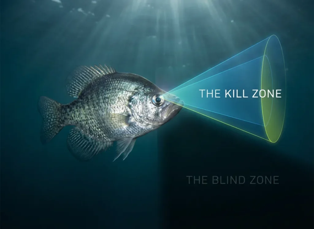 A high-definition editorial illustration of a Crappie fish in deep water. A glowing, semi-transparent geometric cone projects upward from its eyes labeled "The Kill Zone," while the area beneath the fish is shaded and labeled "The Blind Zone," illustrating the physics of its predatory vision.