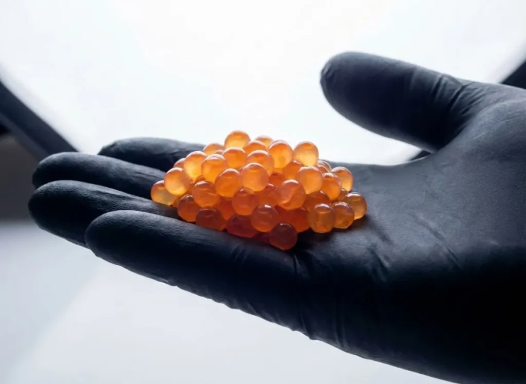 Extreme macro close-up of raw salmon eggs held in a black nitrile glove, backlit to show the internal yolk structure and membrane texture.