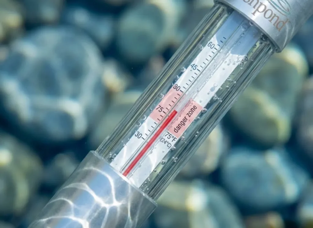 Underwater macro photography of a Fishpond stream thermometer submerged in a river, showing bubbles and temperature readings that impact fish survival.