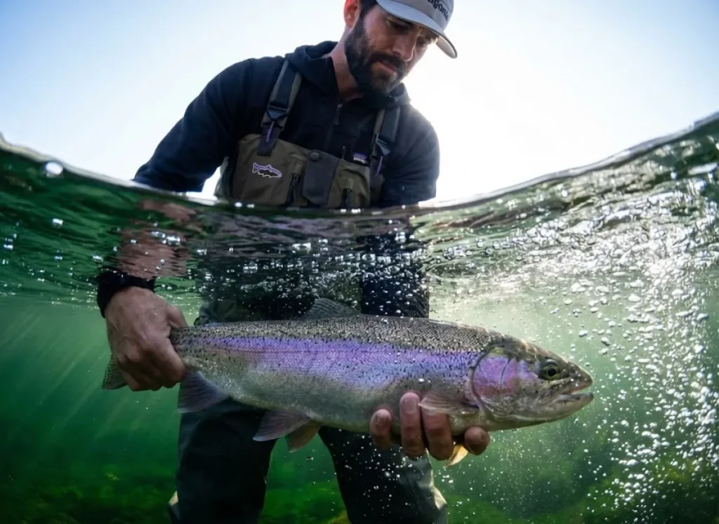 Split-level underwater shot of an angler releasing a rainbow trout into highly oxygenated, bubble-filled water, illustrating safe catch and release practices in warm weather.