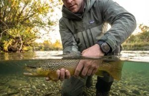 The Cortisol Clock: Fish Fight Stress Survival A professional angler in Patagonia gear gently reviving a brown trout in a clear river, shown in a split-level underwater photography shot, highlighting catch and release stewardship.